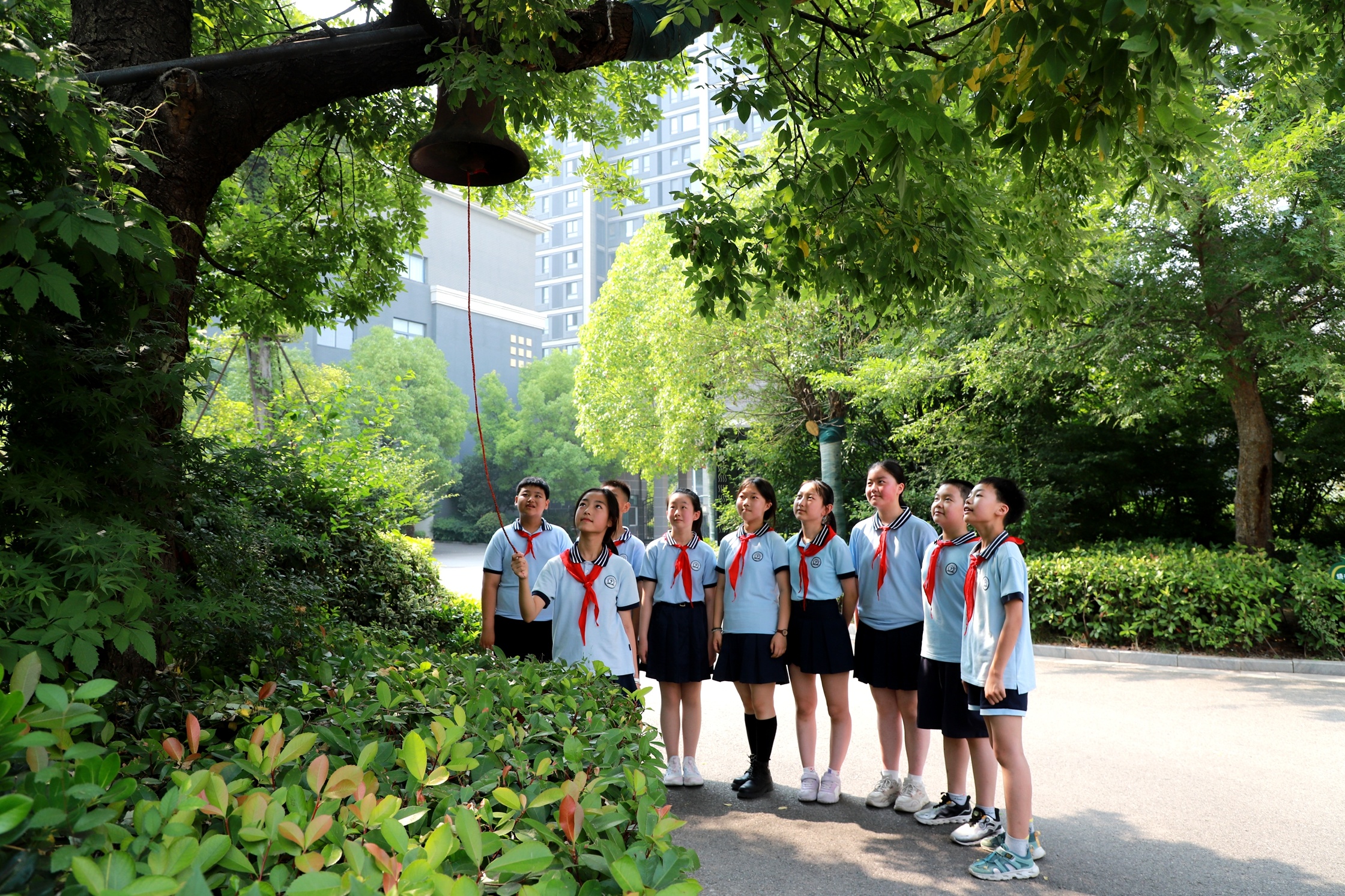 槐下钟声响，少年踏歌行——495名少华少年，国槐树下启程