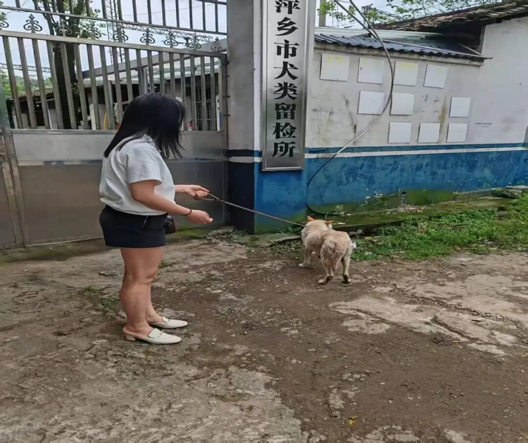 7jpg.jpg