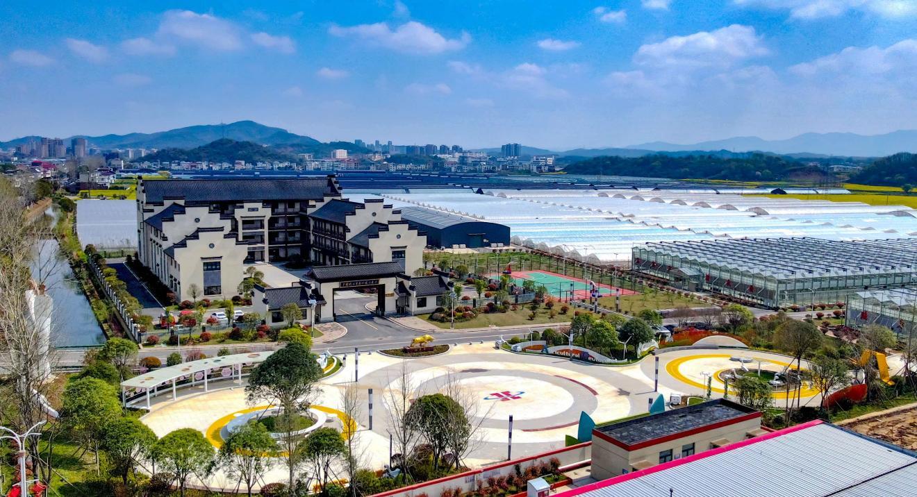 江西彭泽油菜科技小院