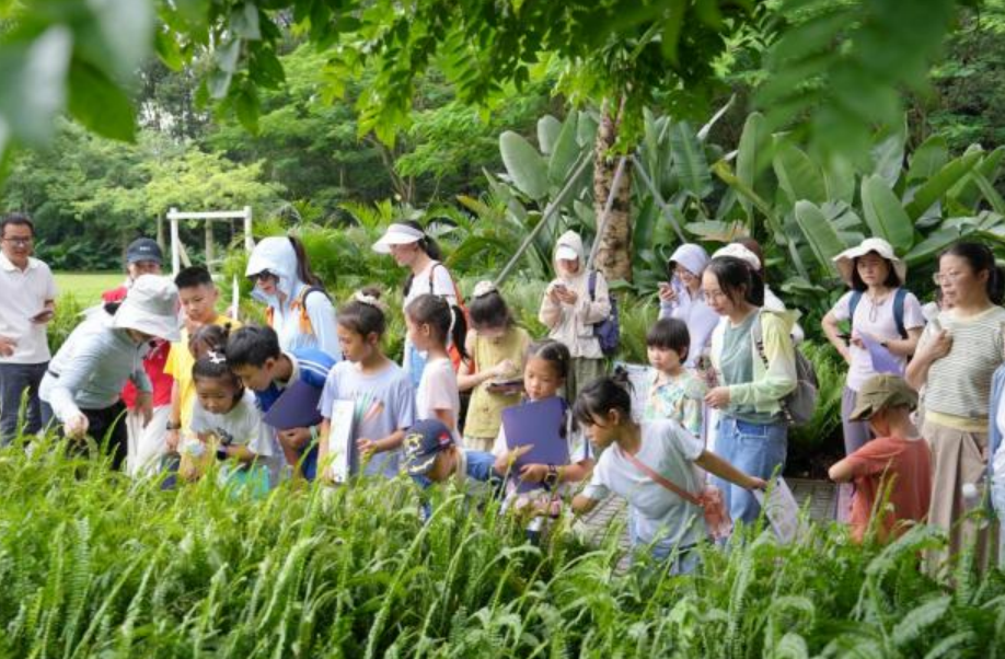 书香遇草木 研学识四时|光明区少年儿童图书馆自然研学系列活动圆满落幕