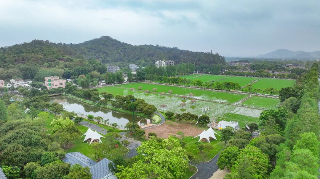莲江山禾田园