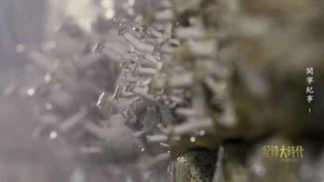 发展菌草，扶贫济困！在“菌草之父”林占熺指导下，闽宁村踏上种菇致富路