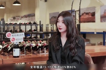 探访法国勃艮第：从风土到餐桌，探寻葡萄酒产业融合发展新路径