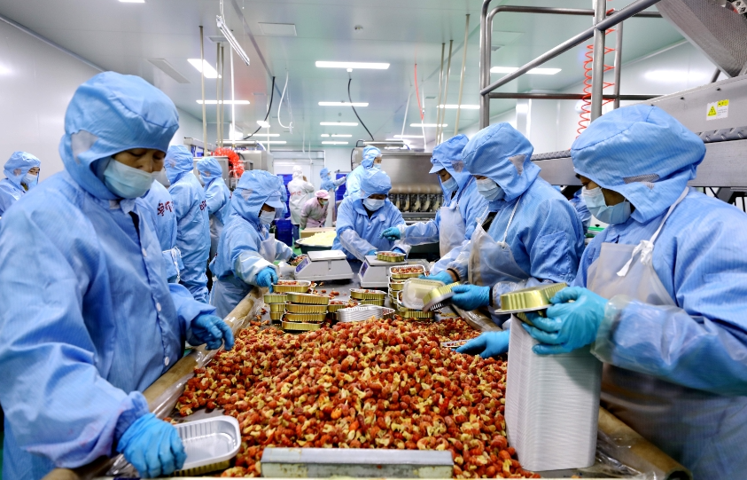 江西彭泽虾蟹科技小院