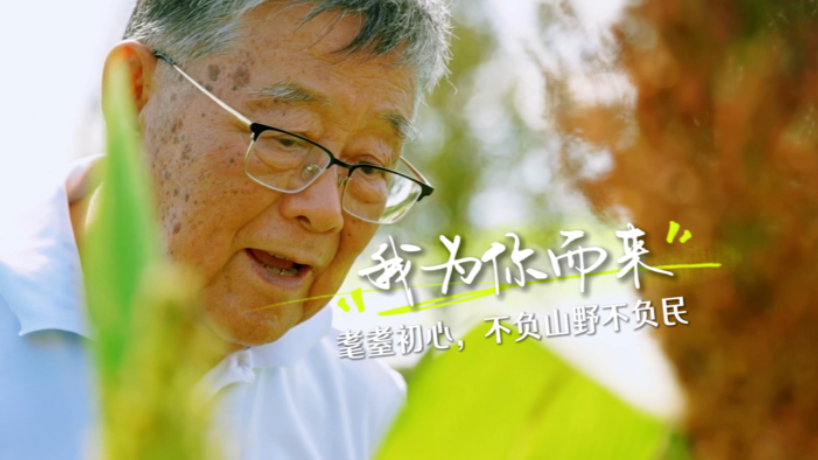 赵亚夫一辈子就做一件事：把论文写在大地上，把成果留在农民家