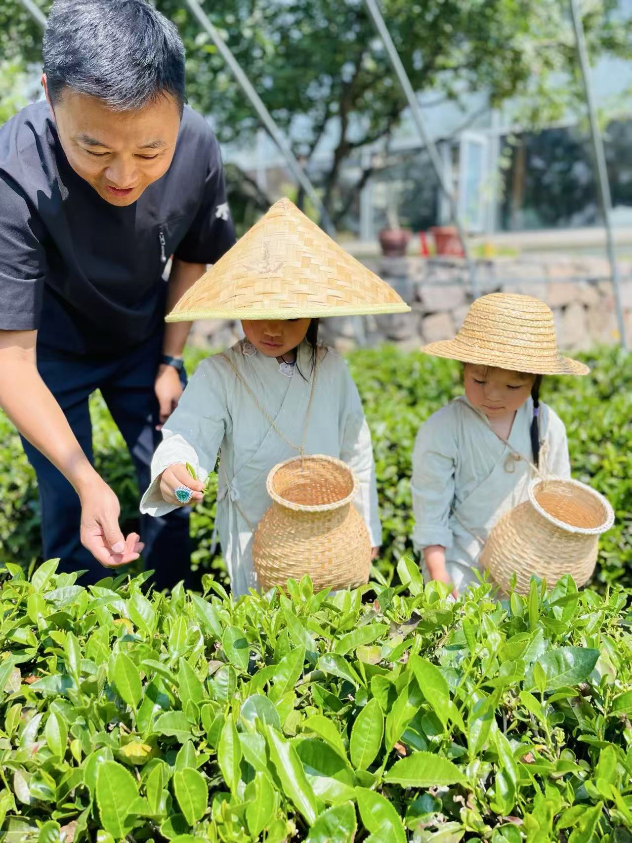 青岛乡里乡亲｜乡土文化带头人 张显宁：三十年深耕崂山茶  跨界创新焕新乡土文化