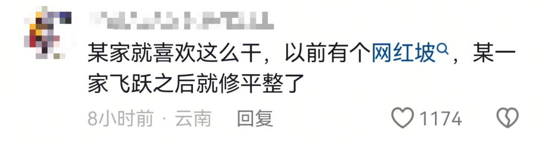 博主自行智驾测试突遭“物理外挂”,网友:懂得都懂