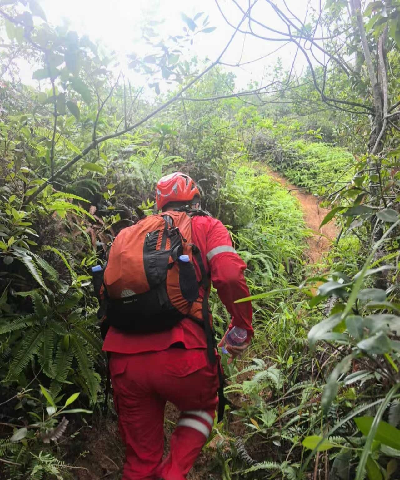 耗时16小时、20人山地救援!大鹏办事处首例登山追偿案例落地