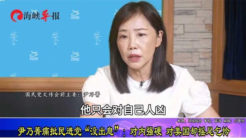 尹乃菁痛批民进党“没出息”：对内强硬 对美国却摇尾乞怜