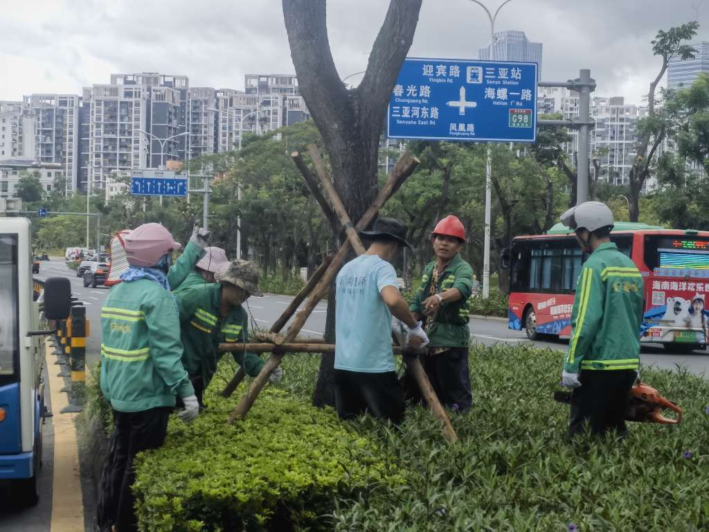 图片16.png