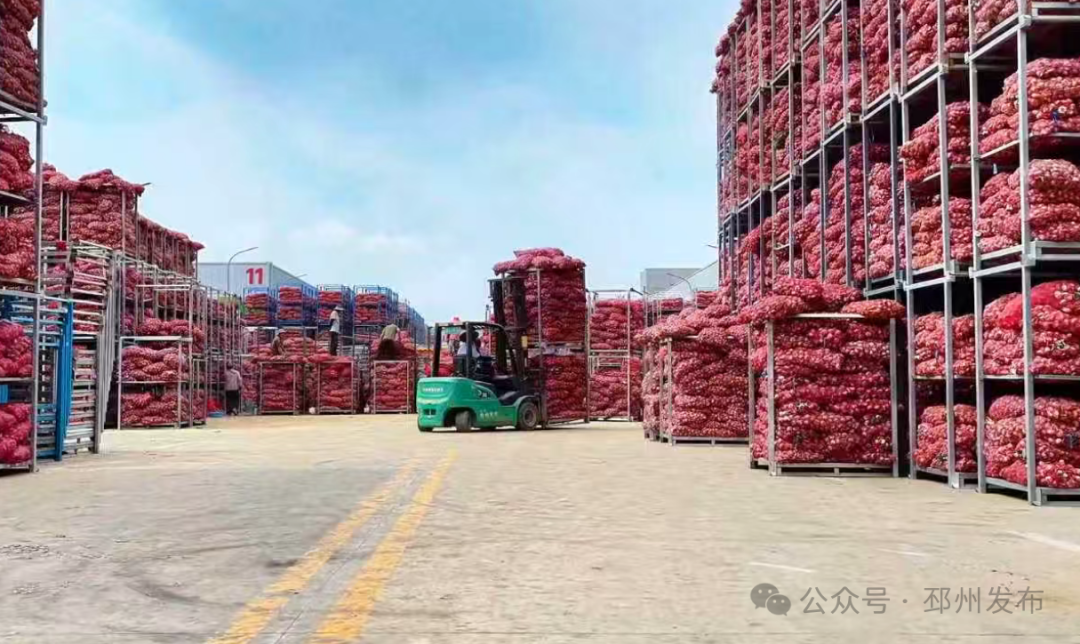 “好蒜难求”涨价潮,看懂徐州特色农业进阶长效命题