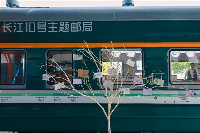 (长江10号主题邮局落成仪式上的“生命树”)