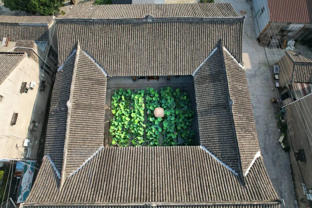 微信图片_20260630191558_33_113.jpg