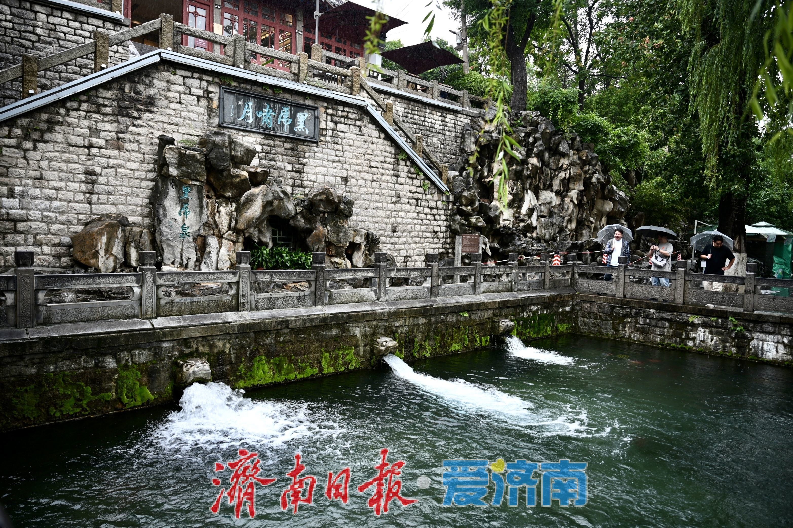 济南日报·爱济南摄影:刘进