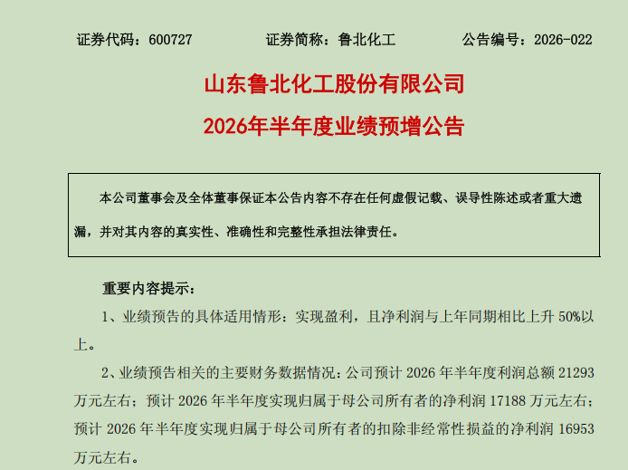 产销两旺叠加降本增效,鲁北化工半年度净利预增超119%