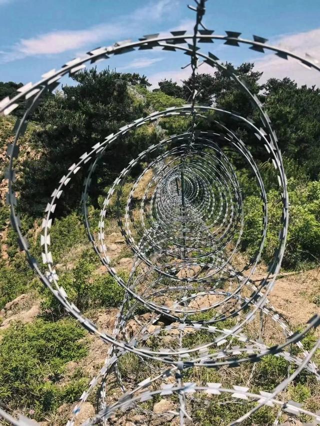 永别了，泰山“刀片刺网”！这不仅是一次拆除，更是一场“破冰”