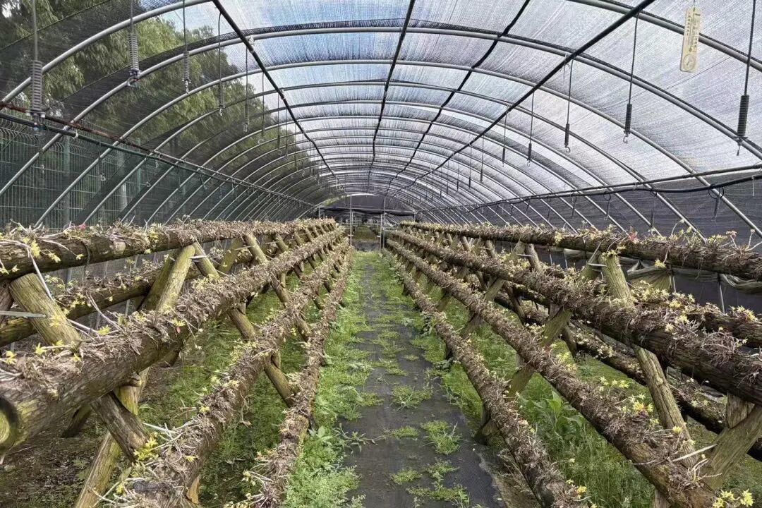 微信图片_20260708170043_22_38.jpg