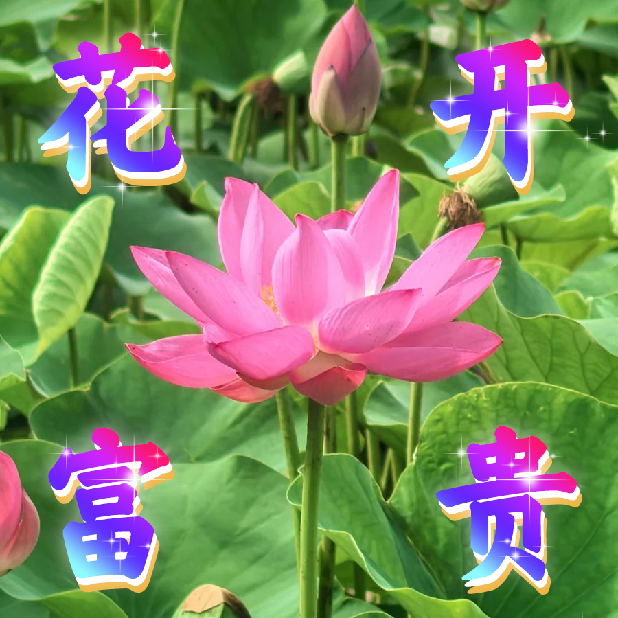 bda86b9e36d2d6a0a57f3701e82fc249.png