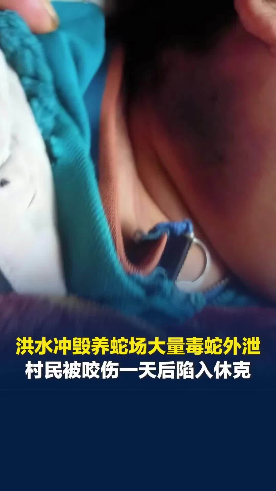 洪水冲毁养蛇场大量毒蛇外泄，村民被咬伤后陷入休克，伤者女儿：已有医生赶去村里