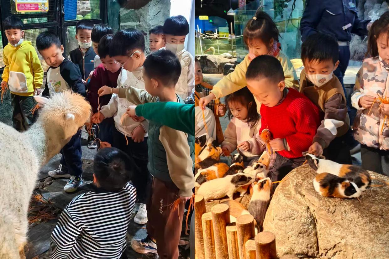 来青岛国际啤酒节崂山会场，带你解锁啤酒节的N种玩法