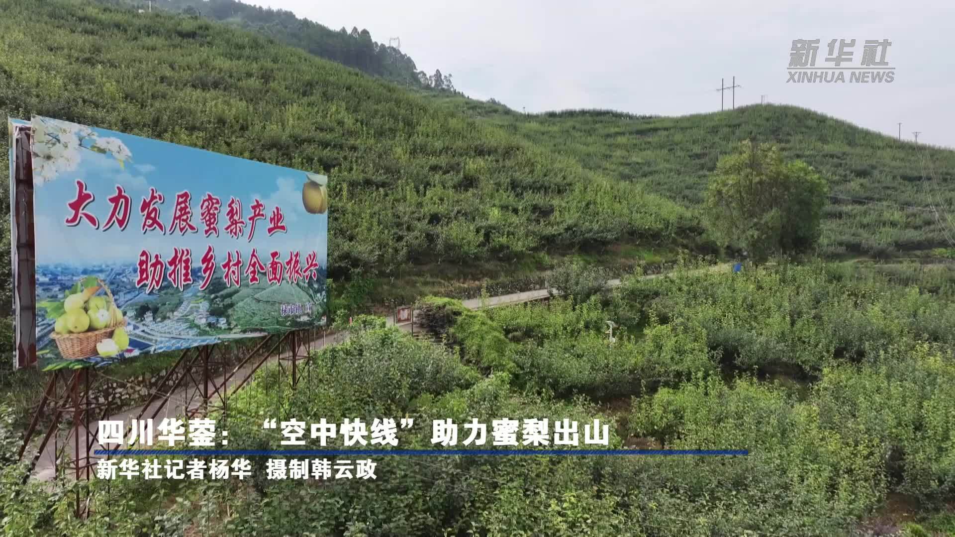 四川华蓥：“空中快线”助力蜜梨出山