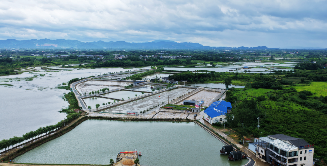 九江湖口:一尾鸭嘴鲟“游”出农文旅融合新赛道