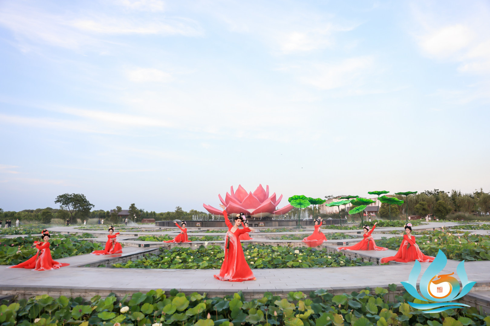 水城淮阳 “荷”你有约 第五届周口荷花节暨文旅消费季盛大启幕