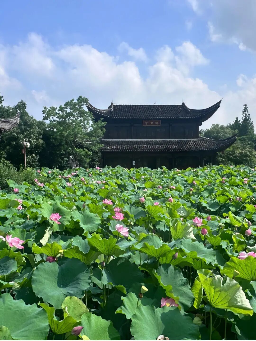 微信图片_20260630191204_22_113(1).jpg