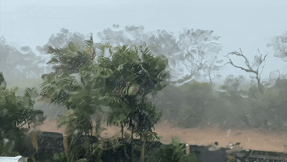 7月6日.gif