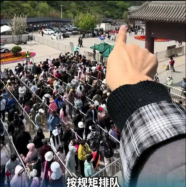 慕田峪插队事件复盘:涉事导游被拘前,有3次可以体面收手的机会