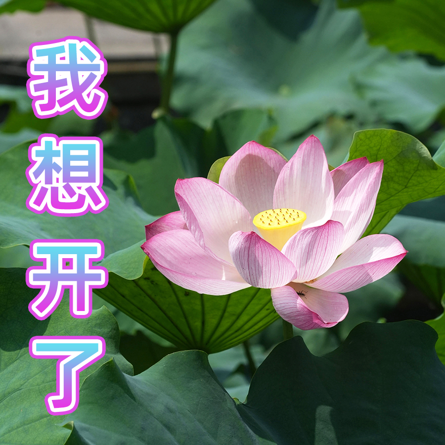 b87e1edacdc2a390b709343a16b42359.png