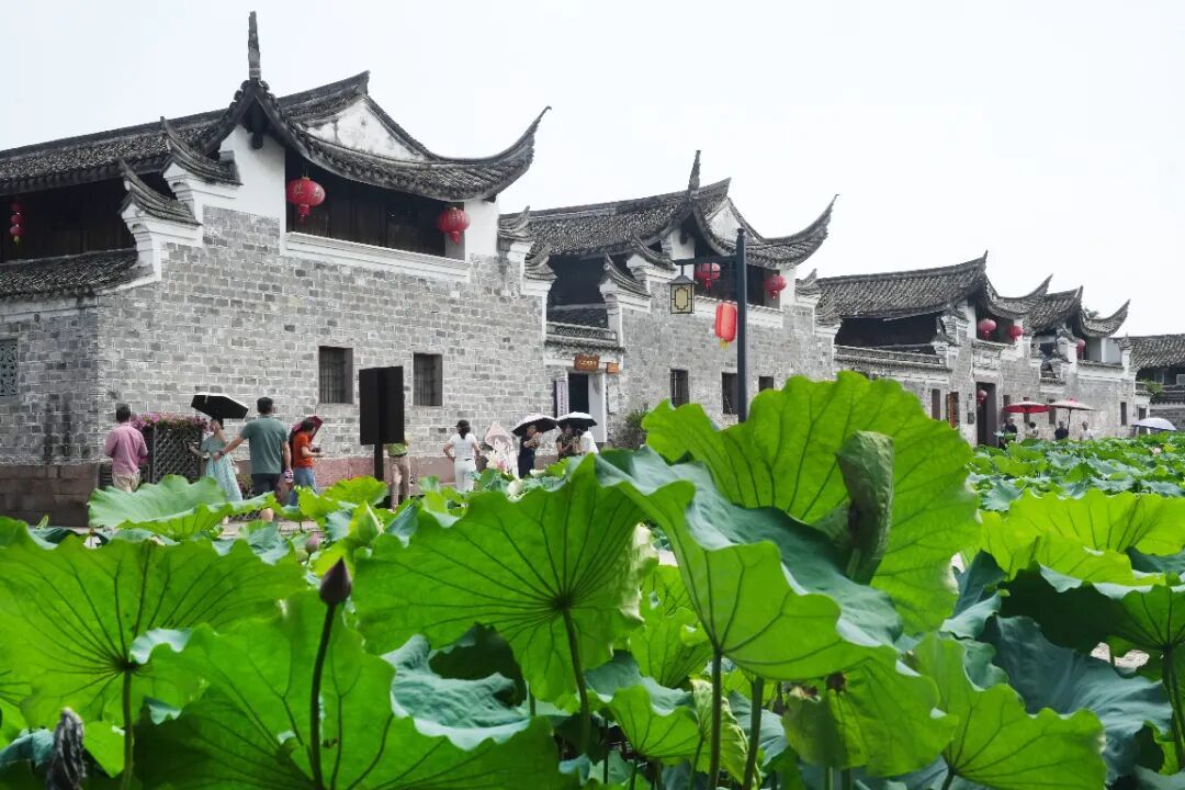 微信图片_20260630192041_41_113.jpg