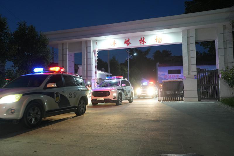 最高罚500万元甚至入刑 秦岭核心保护区的法律“高压线”