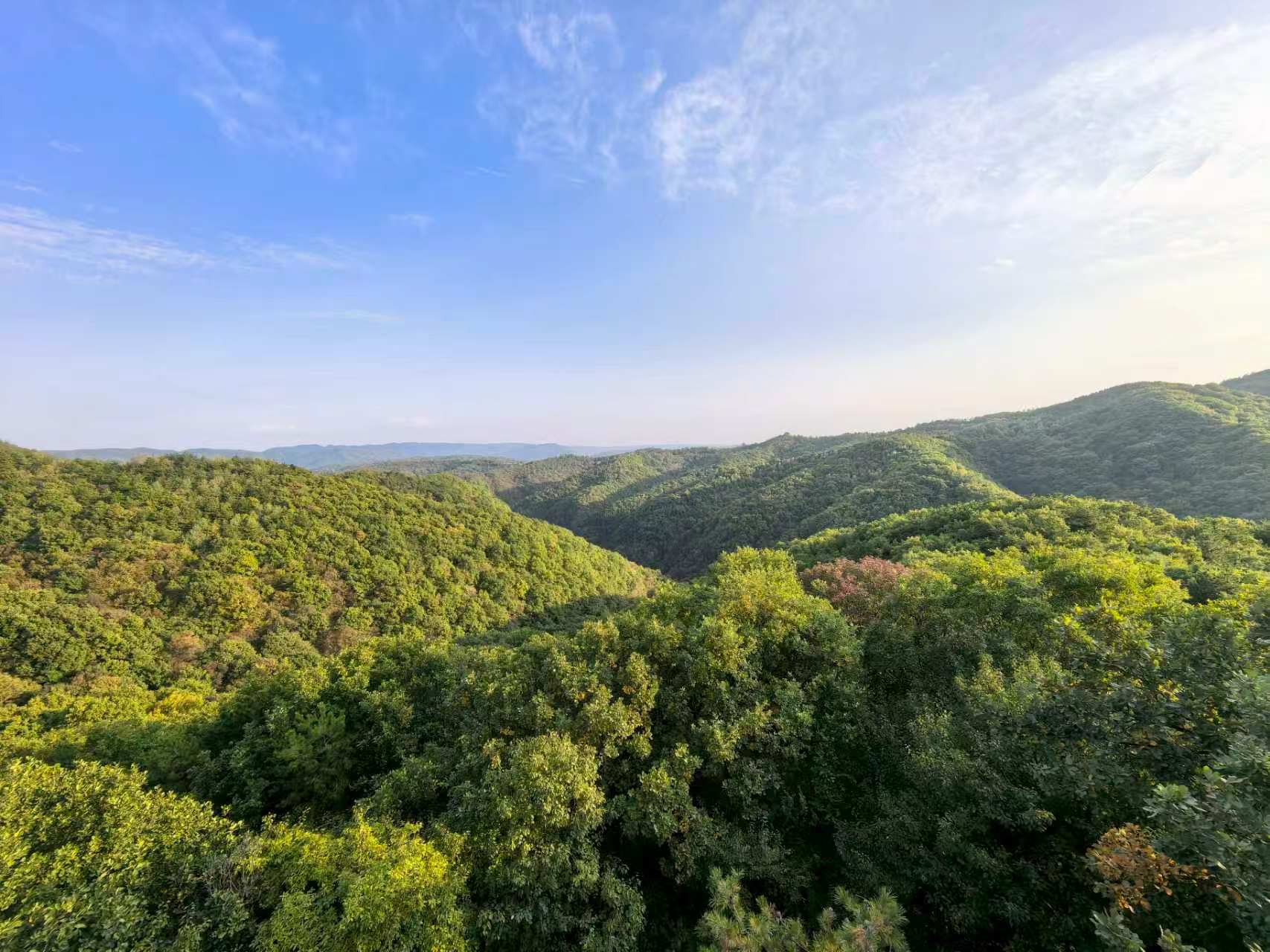 图为崆峒区南部山区天然氧吧.jpg