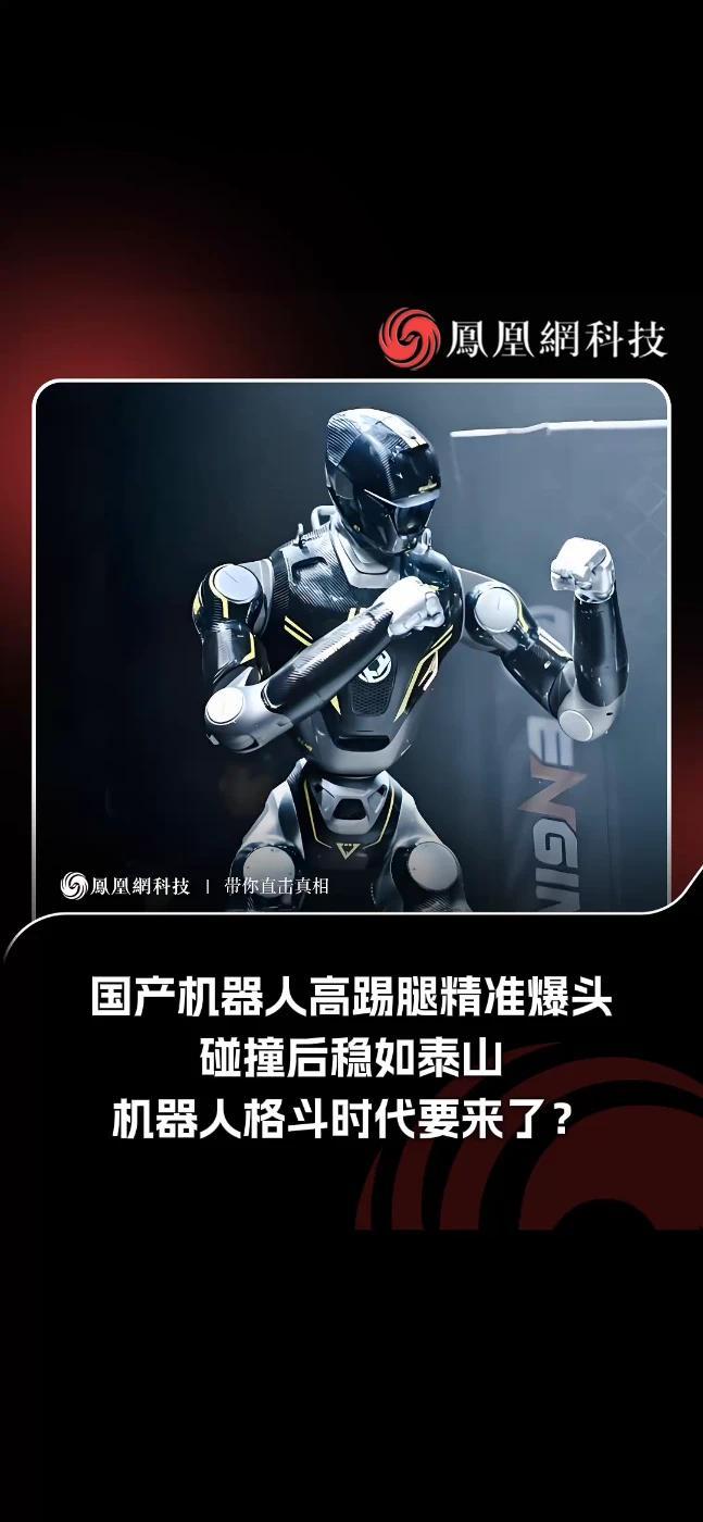 高踢腿、精准打击、撞完还站得住——机器人离自主格斗还有多远？