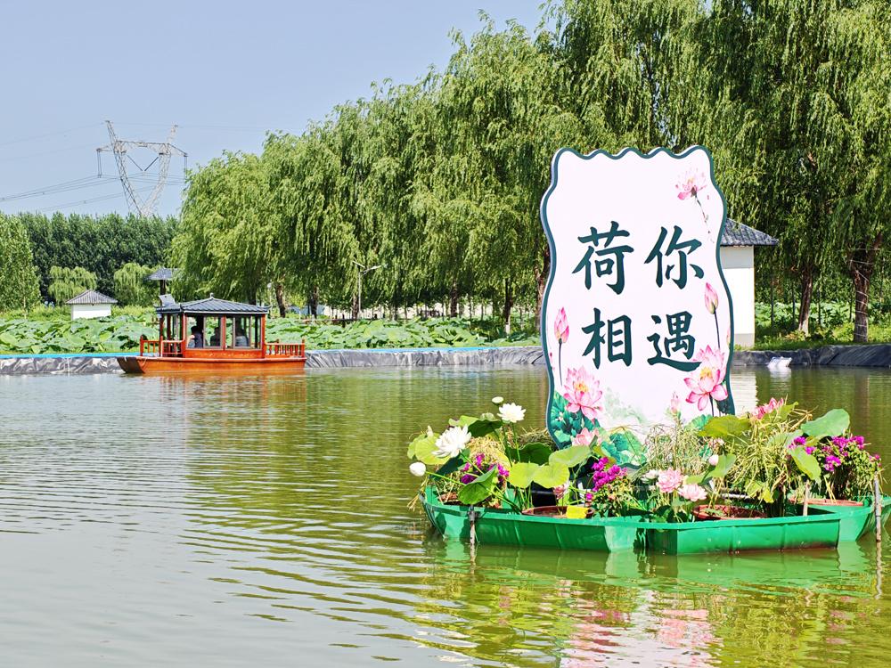 水乡有荷香 风华正当时——2026年白云湖生态文化旅游季盛大开幕