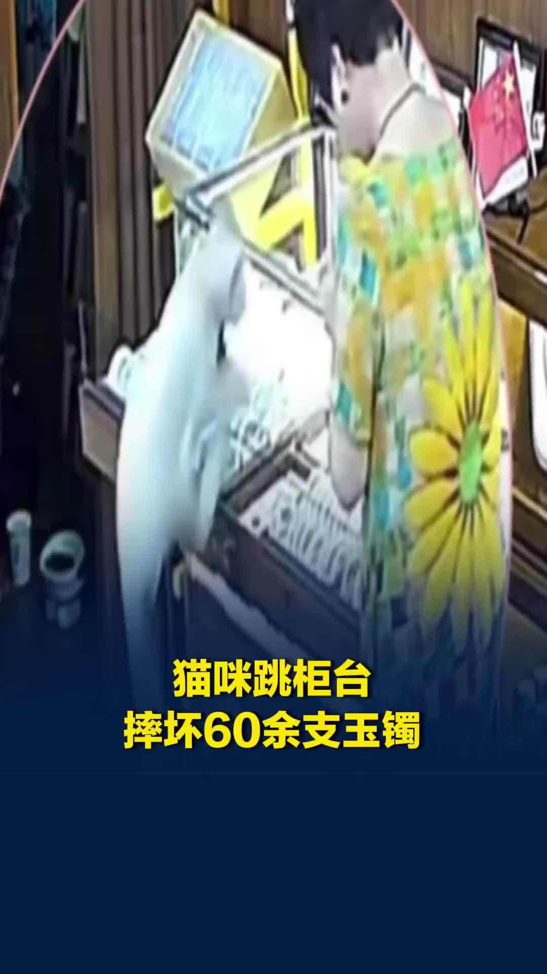 猫咪跳上柜台，碰落损坏六十余支玉手镯，店家：是自家猫，没咋处理，自己收拾收拾算了