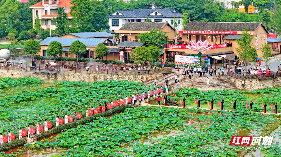 常宁市柏坊镇荷花里景区。