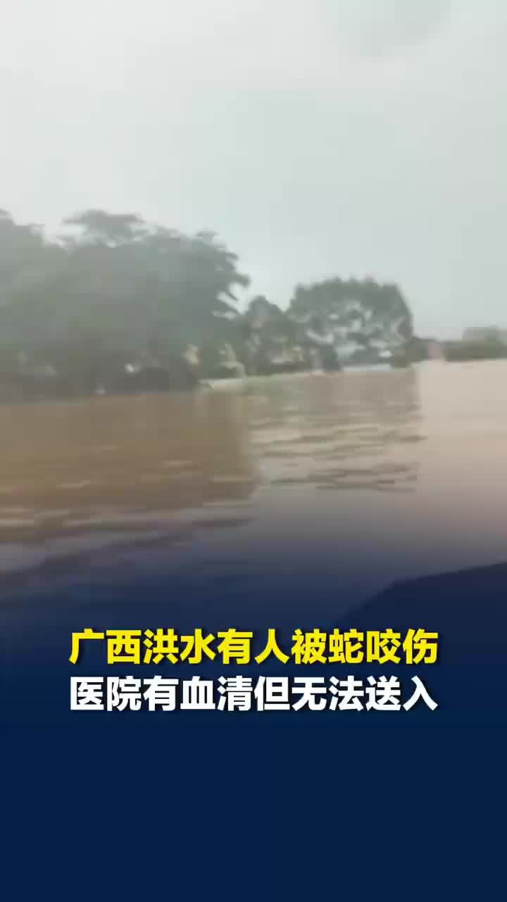 广西洪水致养蛇场蛇逃出，医生自驾8小时到广西灾区当志愿者，医院：有血清但带不进去