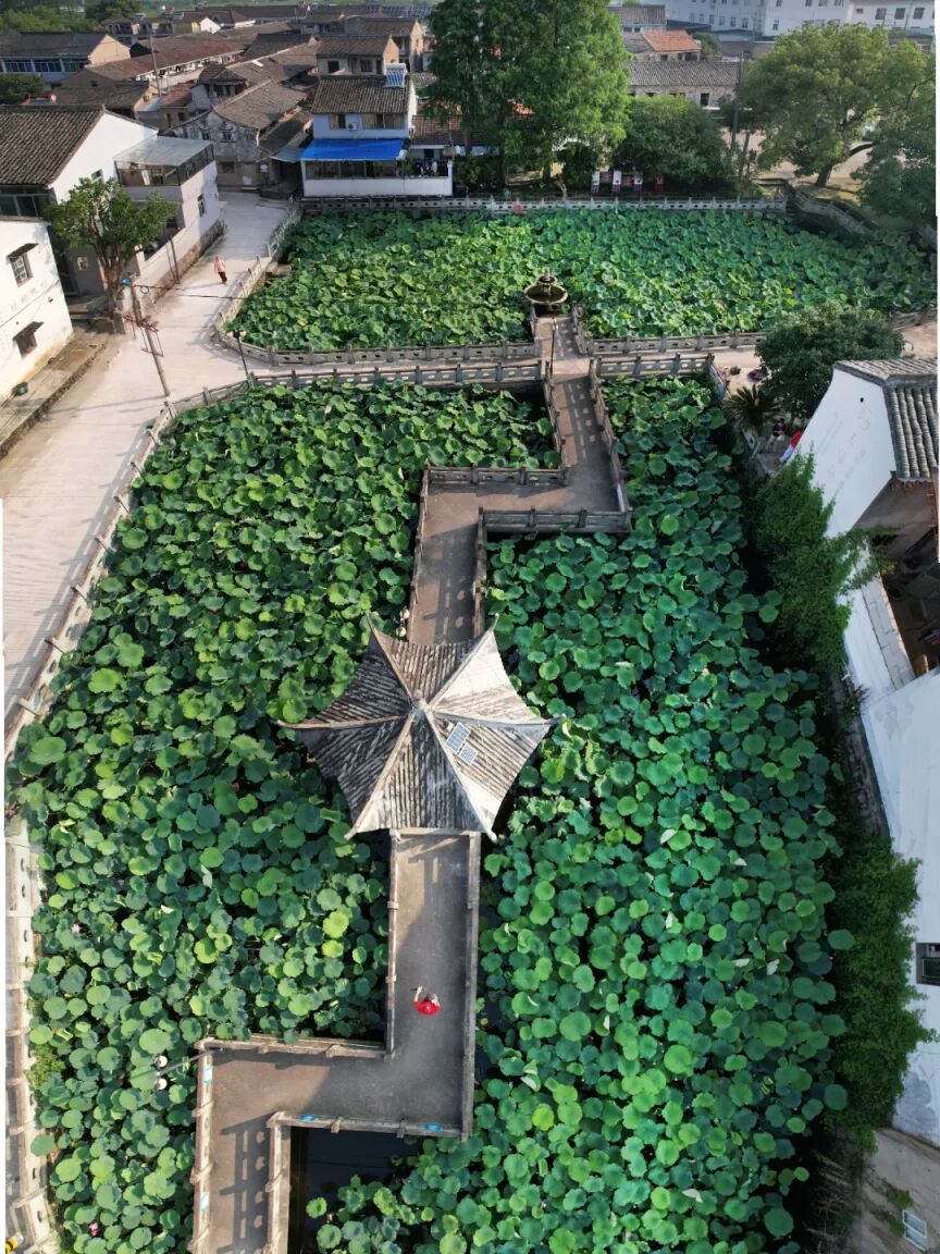 微信图片_20260630191547_26_113.jpg