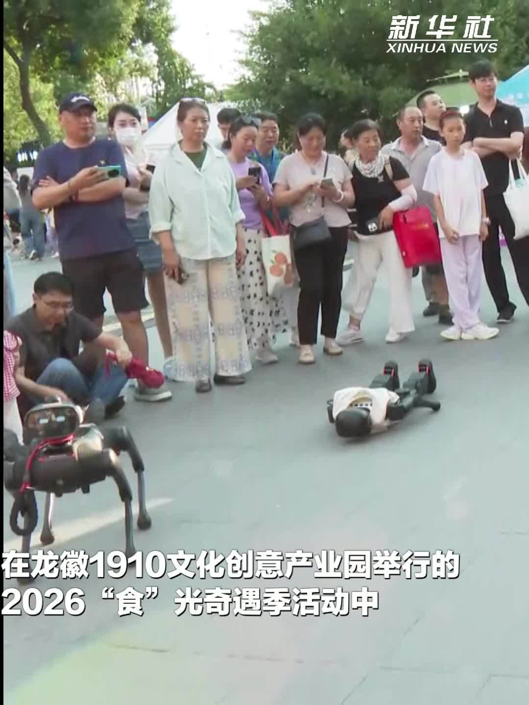 北京海淀：人形机器人、机器狗趣味互动