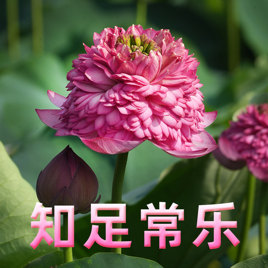 a00985623987d52f61353f6a4098488f.png