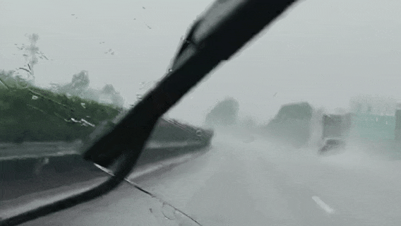7月6日(1).gif