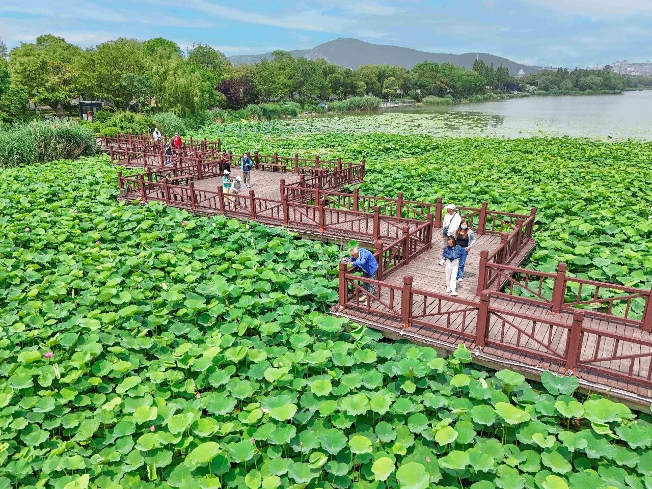 来徐州,尝一“夏”!2026暑期徐州文旅打卡指南