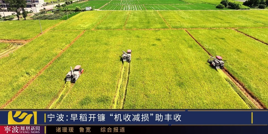 早稻开镰 “机收减损”助丰收