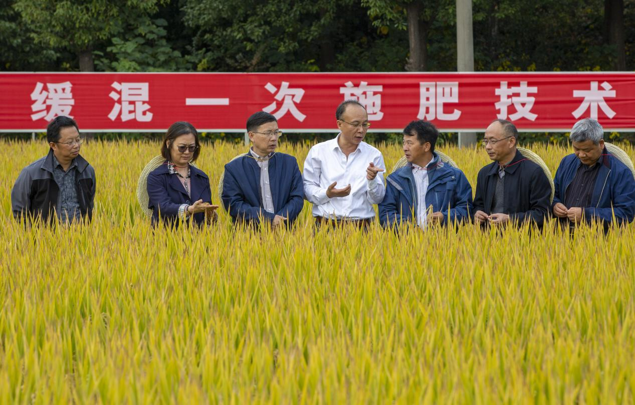 国家科技进步奖丁艳锋教授团队:二十年稻田坚守,为一碗中国好饭