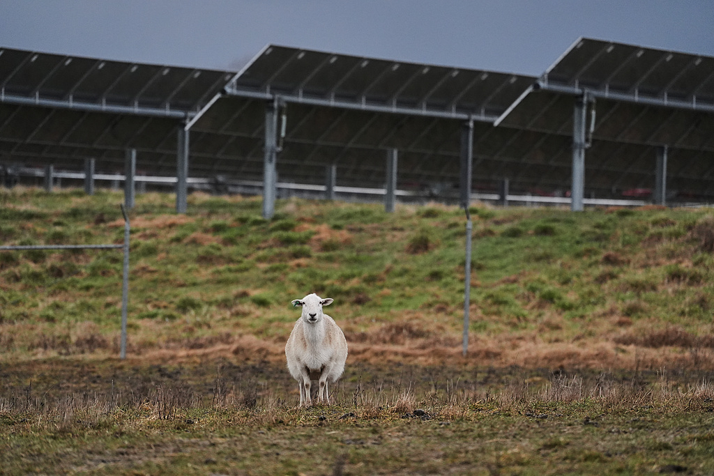 America's 'Big and Beautiful' Act Turns One: Clean Energy Faces Uncertain Future and Soaring Costs