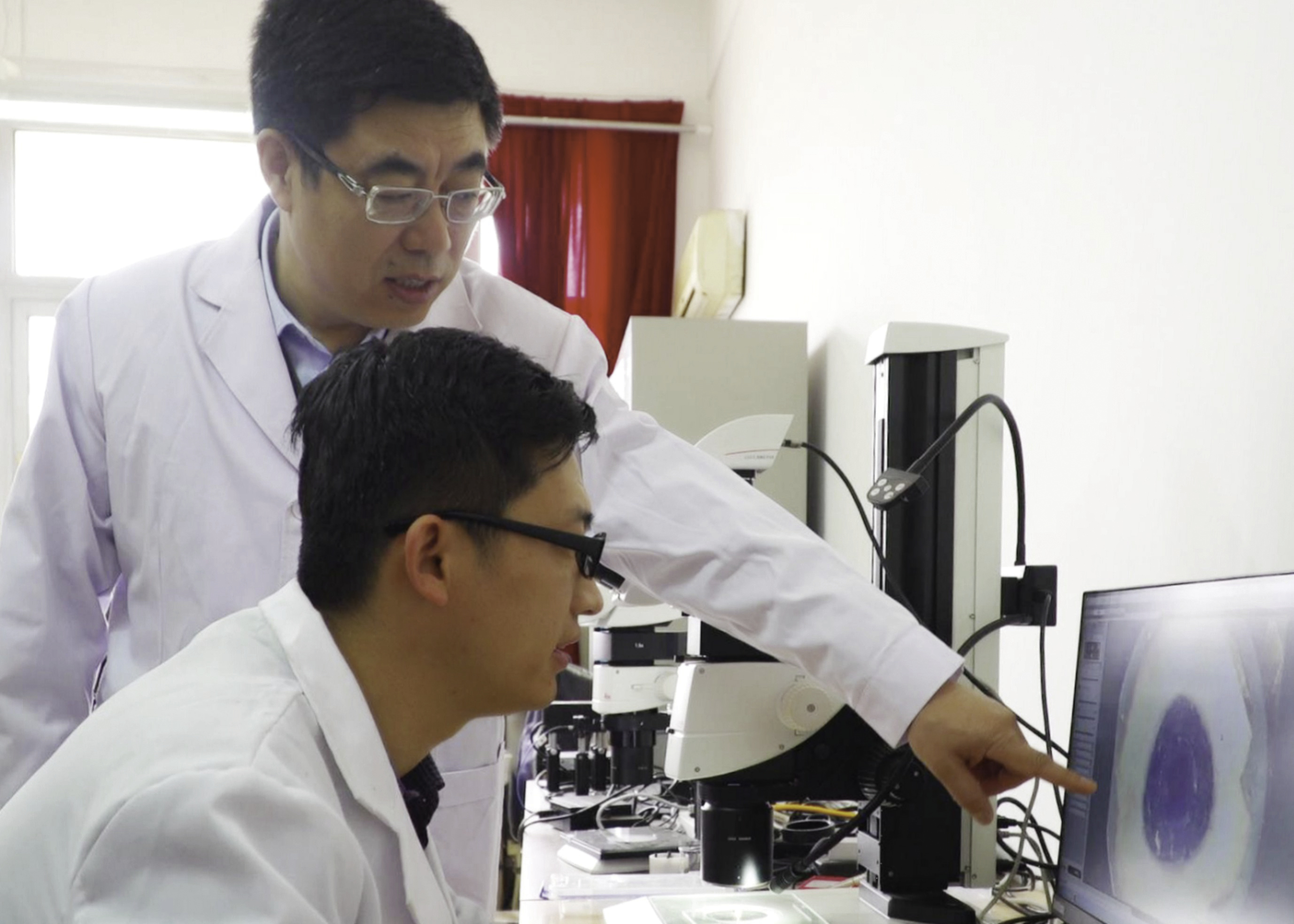 秦皇岛:燕山大学荣获国家自然科学奖二等奖