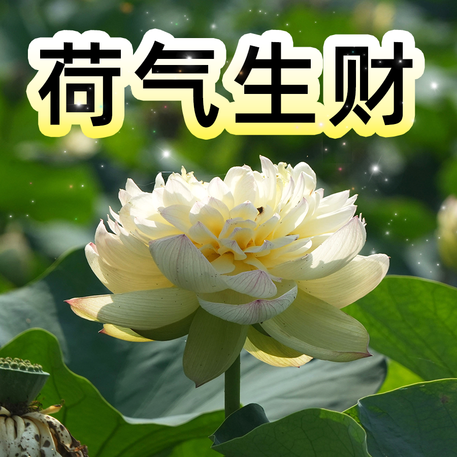 3da1beedddb92328c279dcff3f7e40b3.png