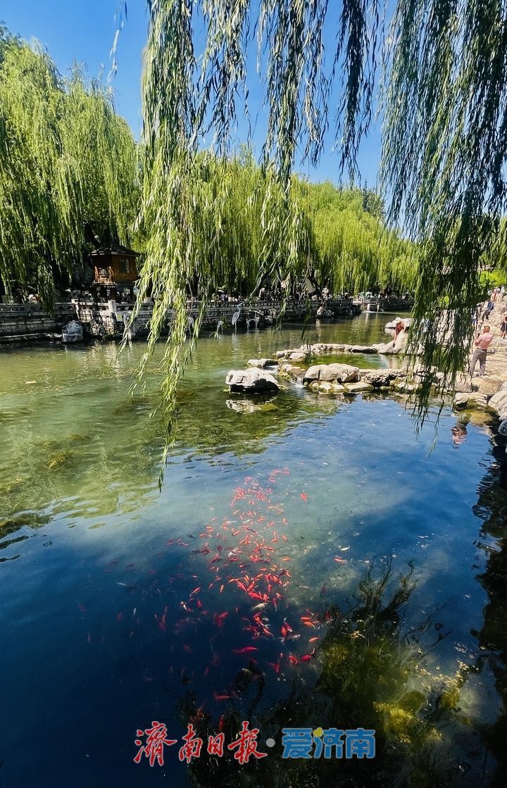 暑期亲泉纳凉 黑虎泉畔人气旺